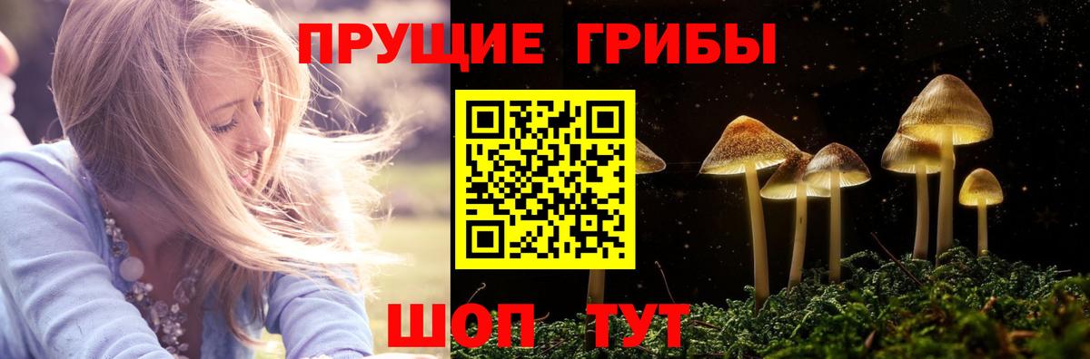 Волгодонск  Галлюциногенные грибы GOLDEN TEACHER  Вход с VPN 